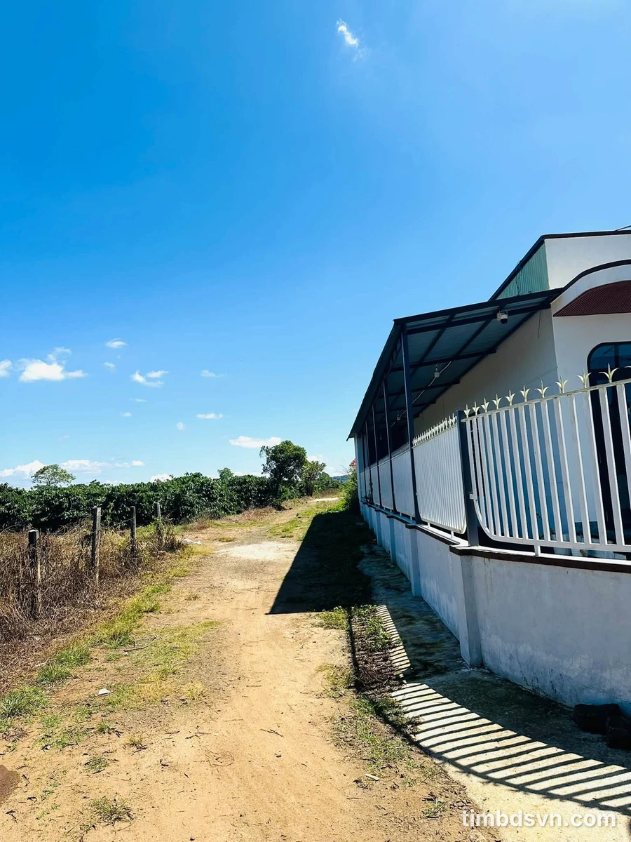Bán đất hẻm chính 126 Trần Văn Ơn, 690m², Bình Tân - Ảnh thu nhỏ 3