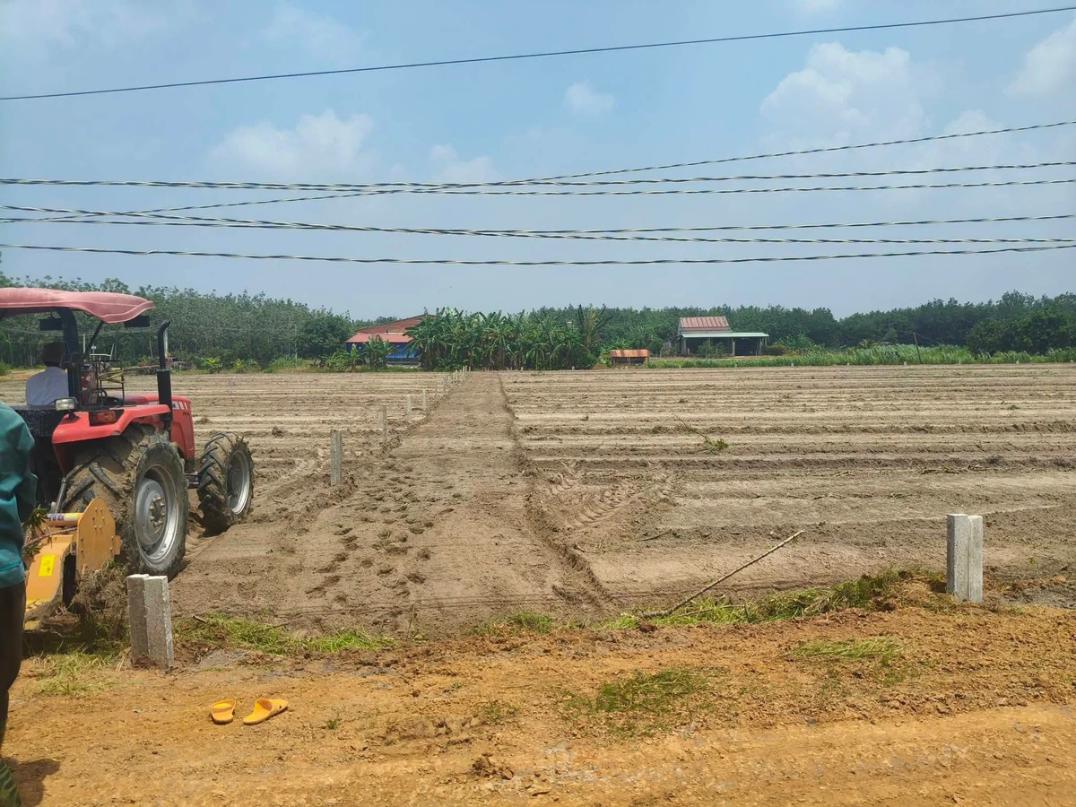 Bán đất nền 300m² Thạnh Bình Tây Ninh 129 triệu - Ảnh 1