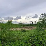 Bán nền mặt tiền 675m² Trần Hoài Anh Rạch Giá 4,1 tỷ - Ảnh thu nhỏ 1