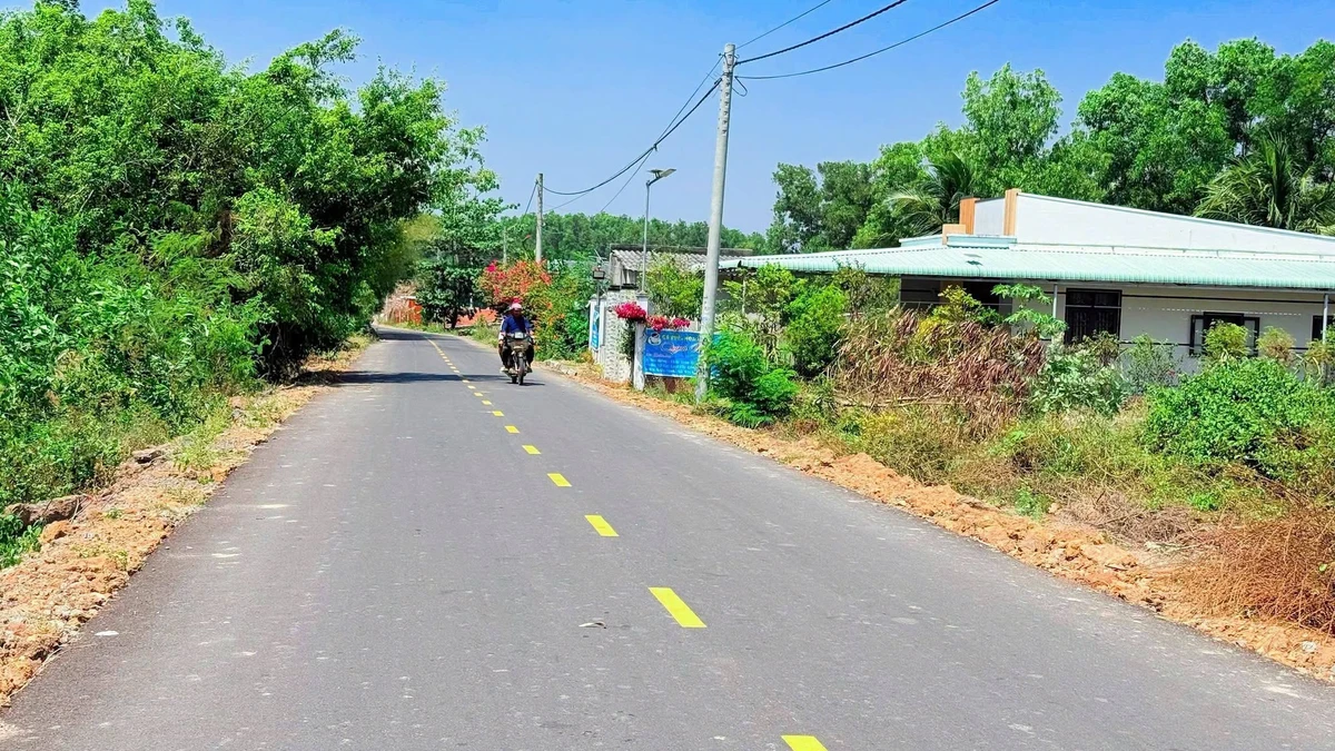 Bán 2 lô đất Phước Hải 180-198m2 gần biển 1 tỷ 550 - Ảnh thu nhỏ 3