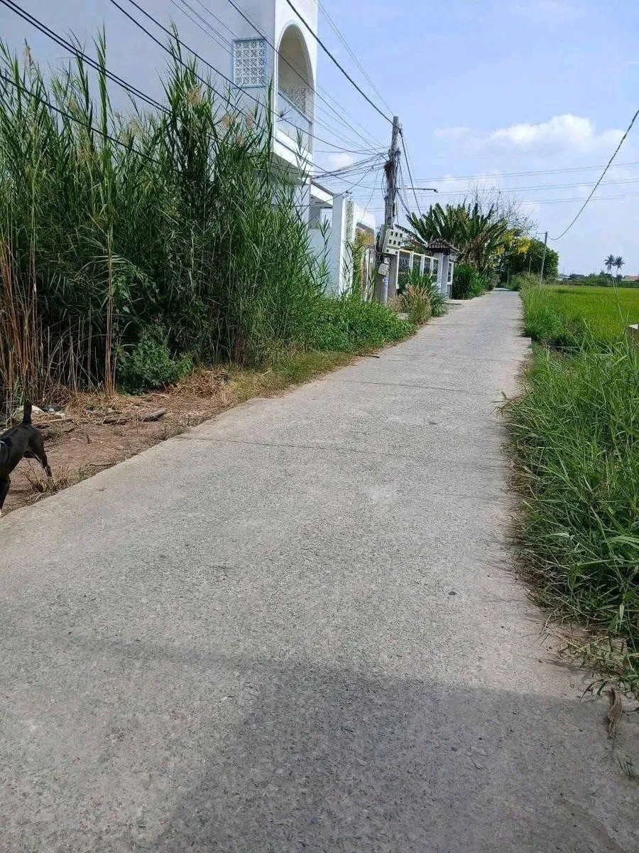 Bán nền thổ cư 5x23m giá 750 triệu tại Thủ Thừa, Tây Ninh - Ảnh thu nhỏ 2