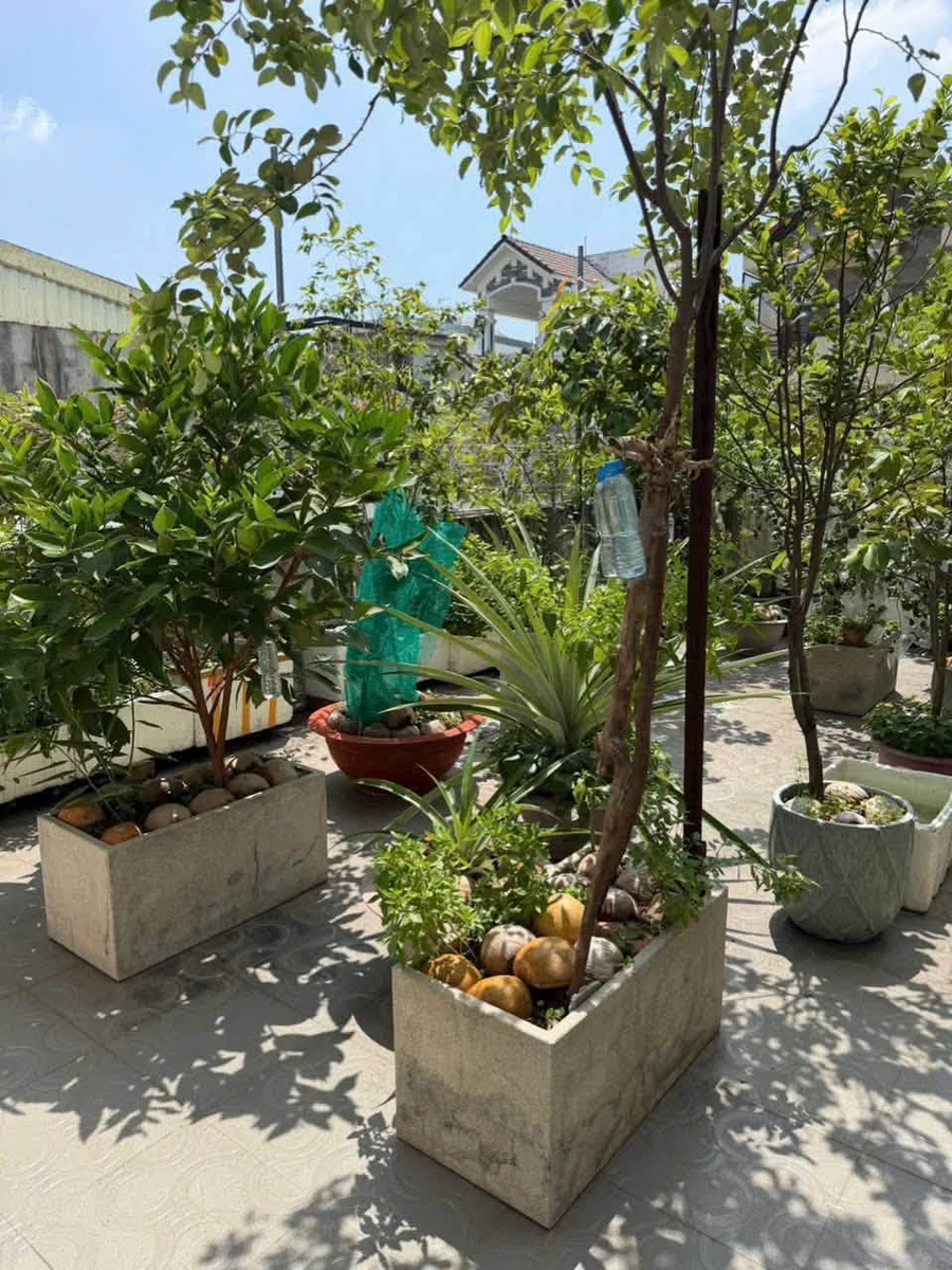 Bán nhà phố 141m² KDC 10 Mẫu, Bình Trưng, Quận 2, giá 14,9 tỷ - Ảnh thu nhỏ 4