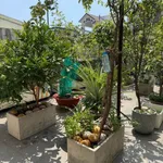 Bán nhà phố 141m² KDC 10 Mẫu, Bình Trưng, Quận 2, giá 14,9 tỷ - Ảnh thu nhỏ 4
