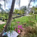Bán đất 532m² Mỏ Cày, Bình Chánh, 900 triệu - Ảnh thu nhỏ 2