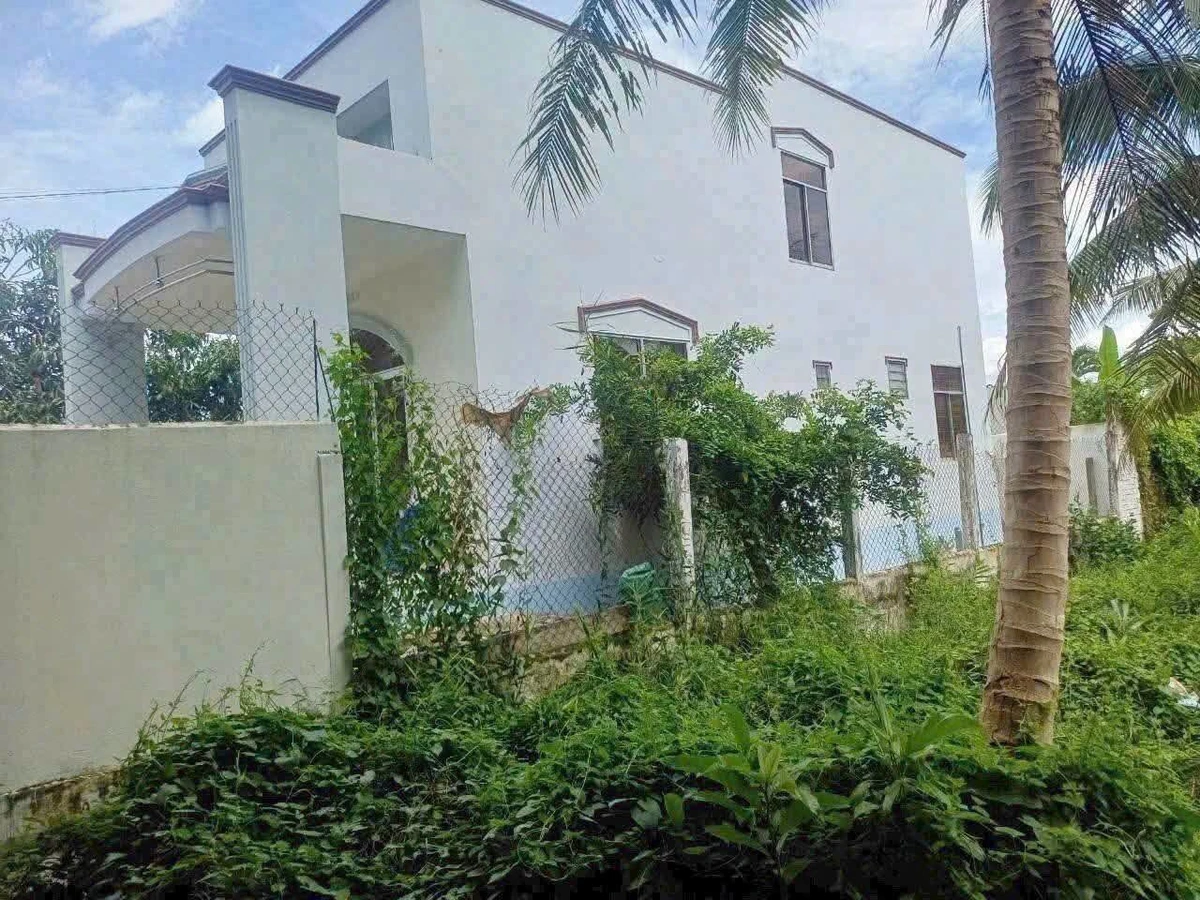 Bán đất Phú Hưng Bến Tre 231m² 1,2 tỷ - Ảnh thu nhỏ 3