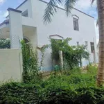Bán đất Phú Hưng Bến Tre 231m² 1,2 tỷ - Ảnh thu nhỏ 3