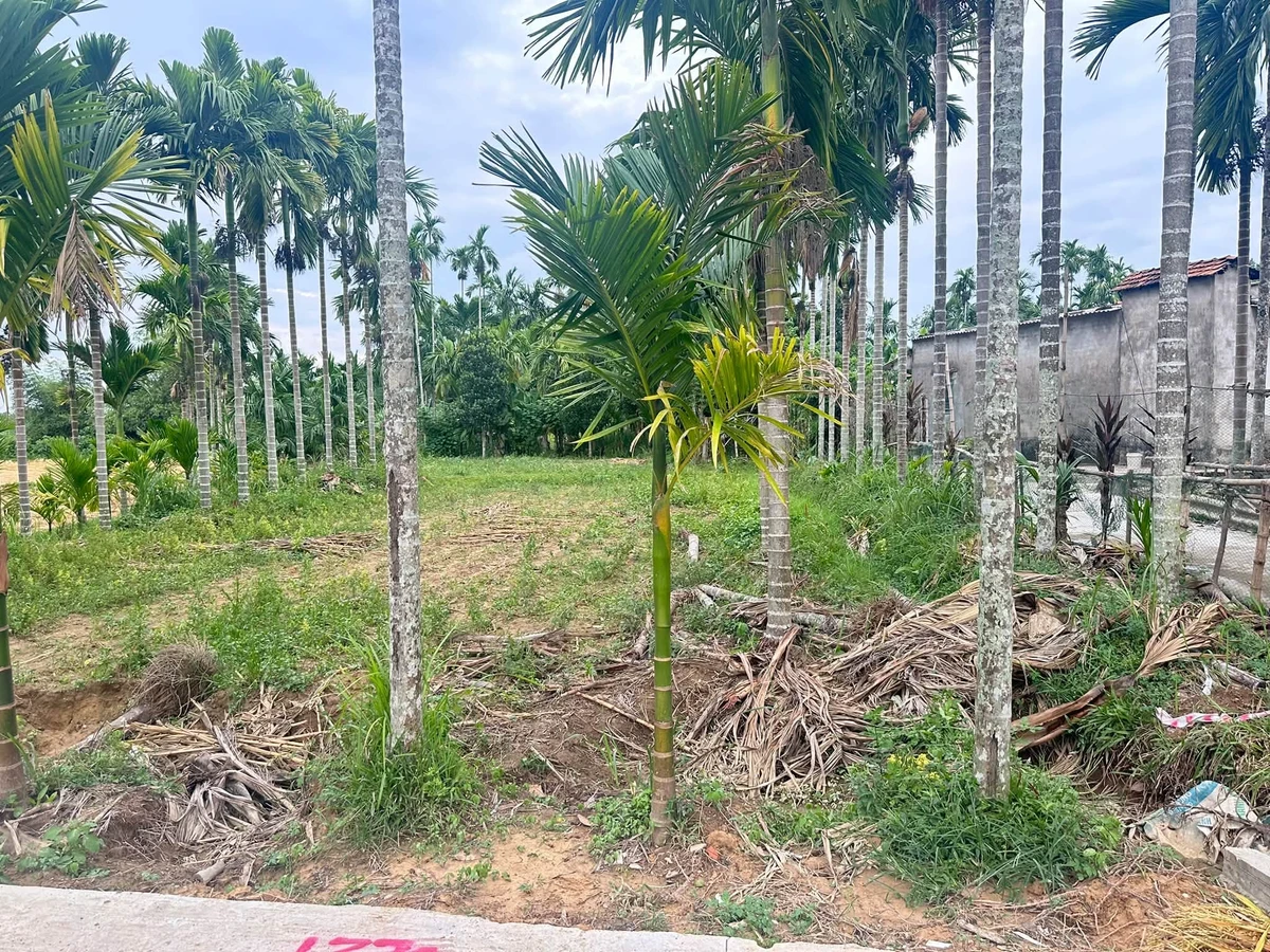 Bán đất Hành Thuận 200m² giá 380 triệu - Ảnh thu nhỏ 2
