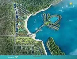P.Q TT An Thới: Bán đất nền lô góc 243m2, KDC Suối Lớn và TT Dương Đông đất mặt tiền đường Bến Tràm - Ảnh thu nhỏ 2