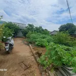 Bán đất 1912m² Tân Trụ, Long An - Mặt tiền đường cont - Ảnh thu nhỏ 3