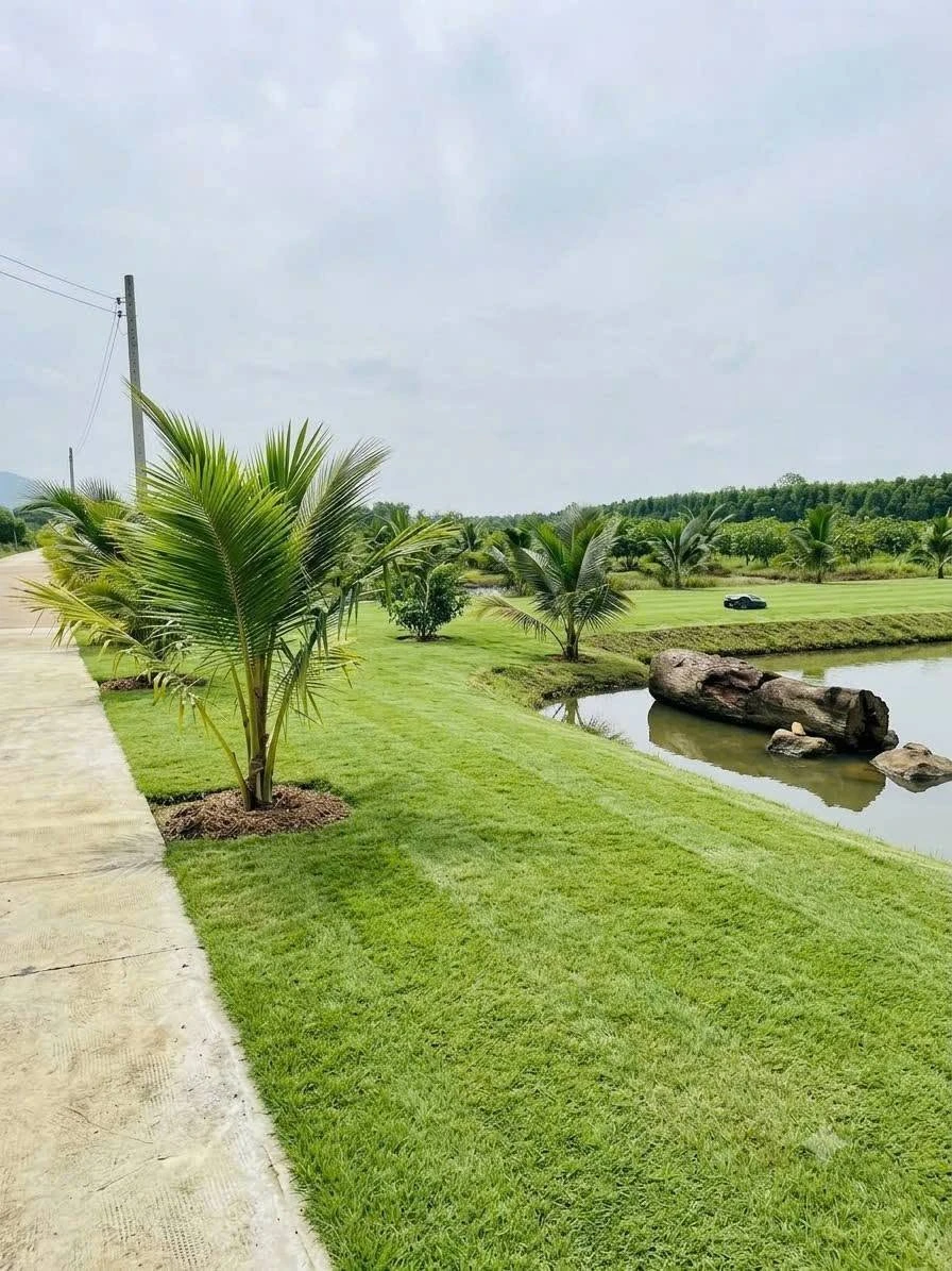 Bán mảnh vườn 1.000m² Long Khánh, mặt tiền 37m - Ảnh 1