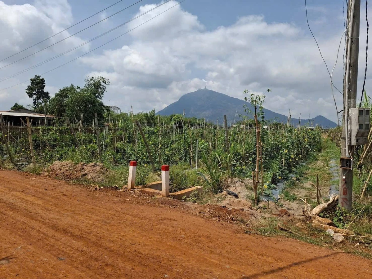 Bán đất thổ cư 5x49 Dương Minh Châu, Tây Ninh 275 triệu - Ảnh thu nhỏ 2