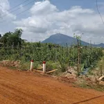Bán đất thổ cư 5x49 Dương Minh Châu, Tây Ninh 275 triệu - Ảnh thu nhỏ 2