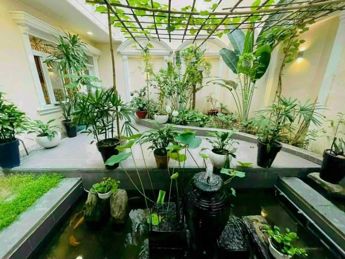 Bán biệt thự sân vườn Hồ Biểu Chánh, Phú Nhuận, đất 232,3m², hầm 4 tầng thang máy - Ảnh thu nhỏ 2