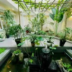 Bán biệt thự sân vườn Hồ Biểu Chánh, Phú Nhuận, đất 232,3m², hầm 4 tầng thang máy - Ảnh thu nhỏ 2