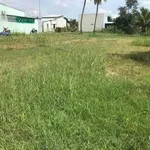 Bán đất xây nhà vườn 980m² tại Tân An, Long An - Ảnh thu nhỏ 2