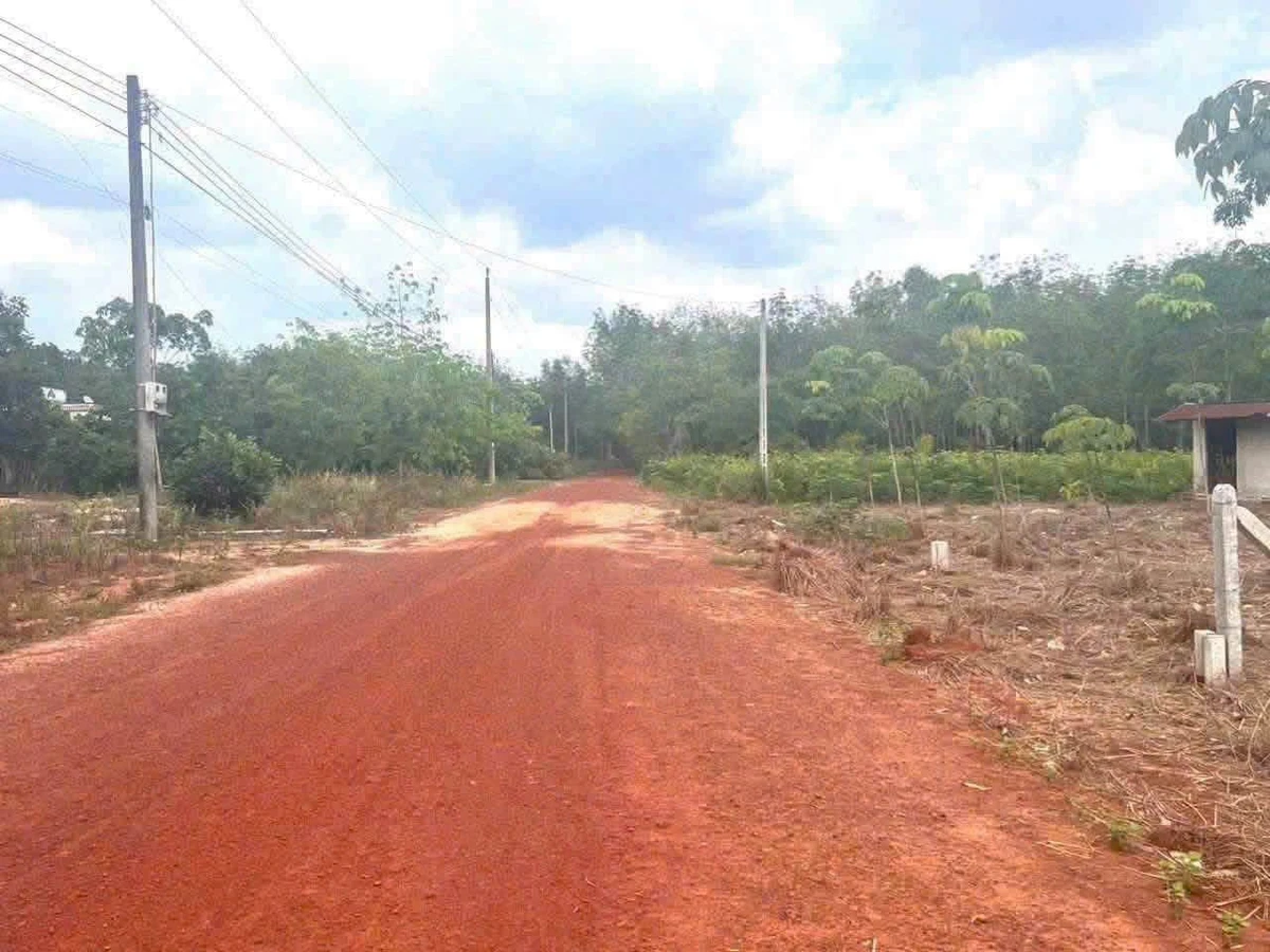 Bán 1.2 ha đất Dầu Tiếng Bình Dương, 2 tỷ 650 - Ảnh 1