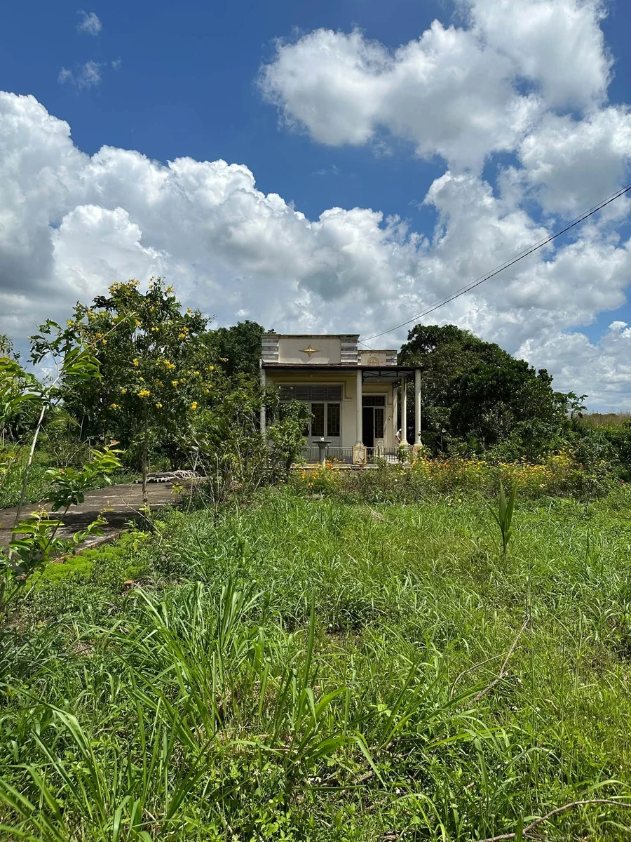 Nhà vườn 6200m² bán Xuân Lộc 3,2 tỷ - Ảnh thu nhỏ 5