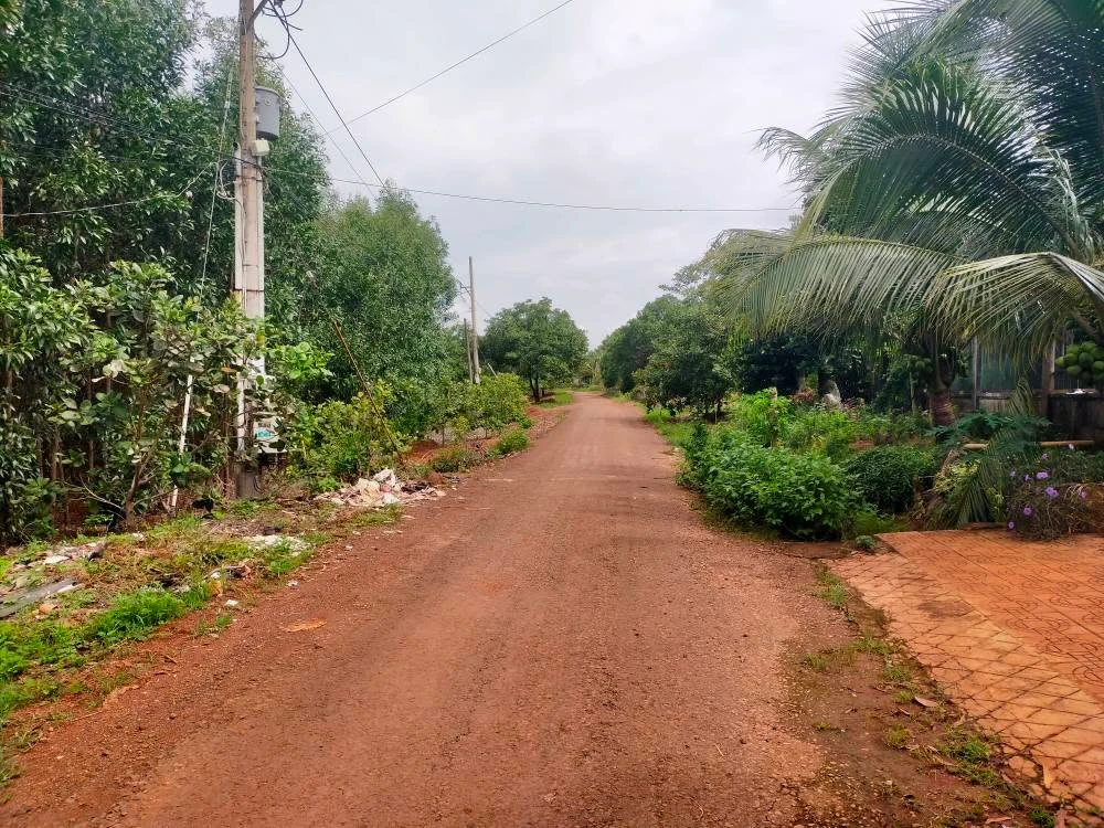 Bán đất 400m² Bình Tân Đồng Nai 2,5 tỷ - Ảnh thu nhỏ 4