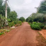 Bán đất 400m² Bình Tân Đồng Nai 2,5 tỷ - Ảnh thu nhỏ 4