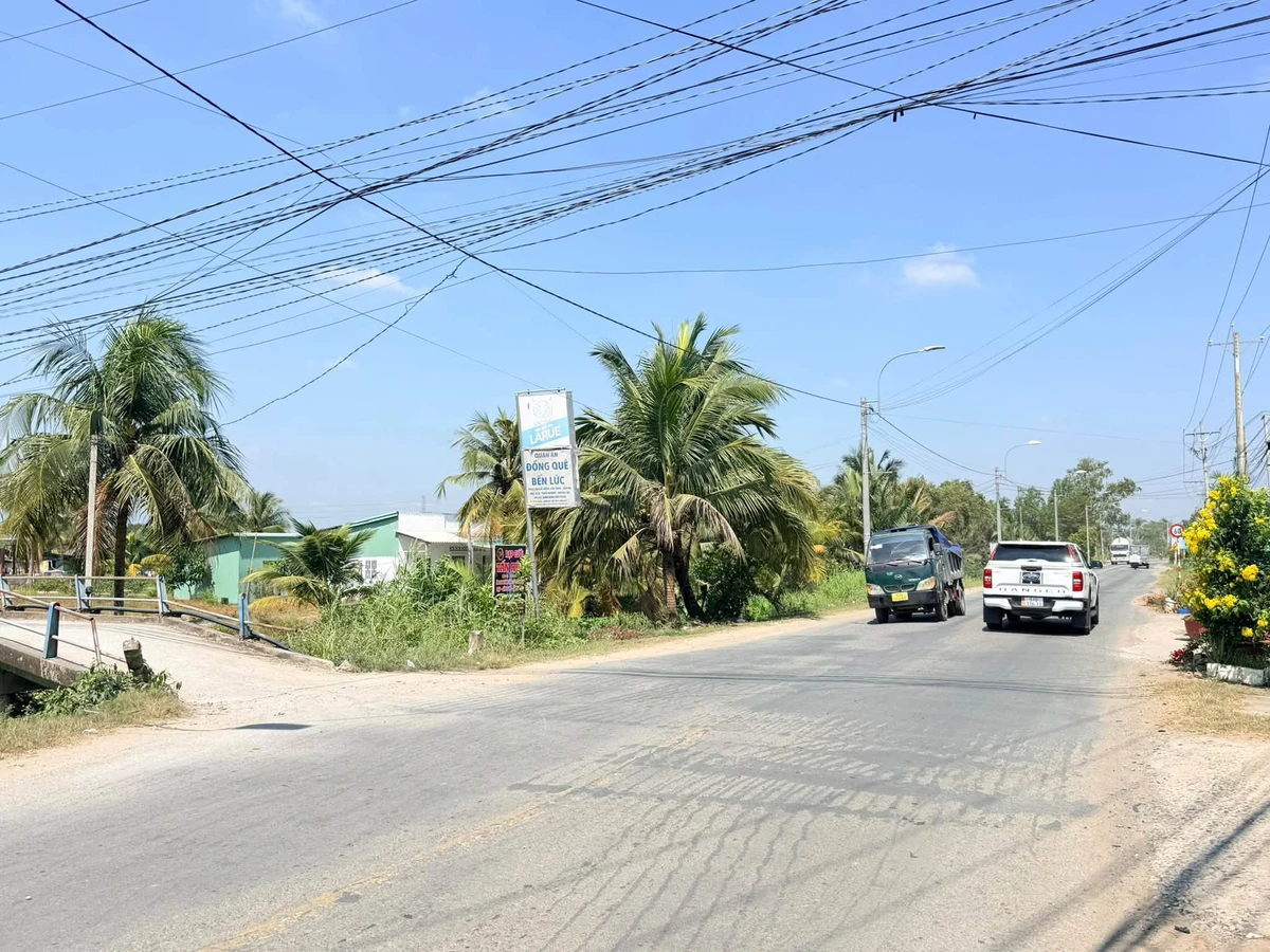 Bán đất vườn 4822 m² ấp 1, Bến Lức, Tây Ninh - Ảnh thu nhỏ 2