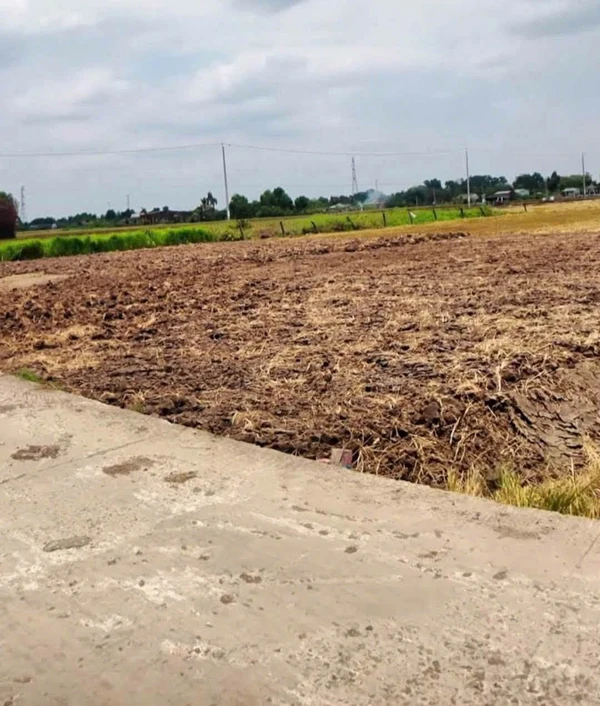 Bán đất mặt tiền Nguyễn Văn Thọ 5x28.5m Tân Trụ Long An