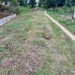Bán 1000m2 đất ở Hàm Liêm, Bình Thuận, 550 triệu - Ảnh thu nhỏ 5
