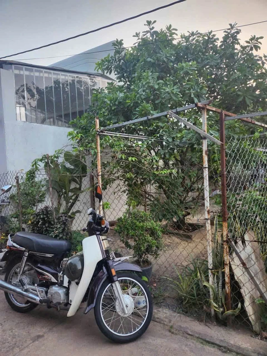Bán đất nở hậu 6,5m Nguyễn Văn Lộng Bình Dương 1,7 tỷ - Ảnh 1