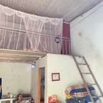 Bán nhà cấp 4 và 5 phòng trọ 543m2 Trảng Bom 2,5 tỷ - Ảnh thu nhỏ 3