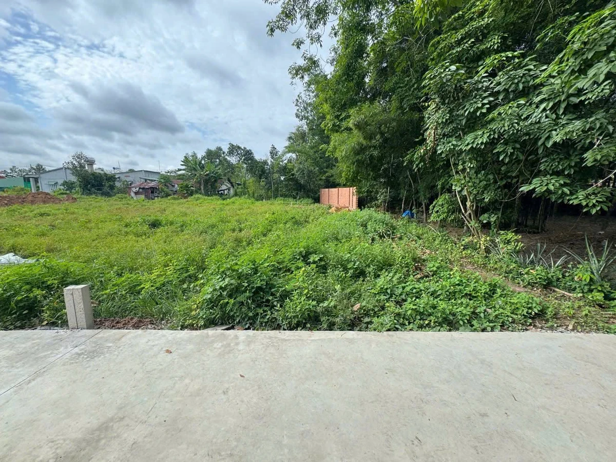 Bán đất thổ cư 110m² đường bê tông Tây Ninh 380 triệu - Ảnh thu nhỏ 3