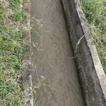 Bán lô đất Hàm Chính 1499m² sổ hồng công chứng - Ảnh thu nhỏ 4