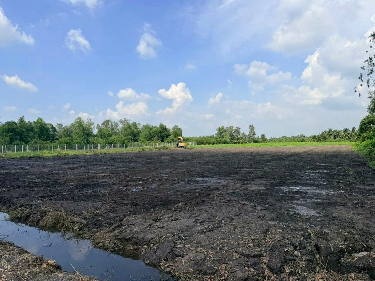 Bán đất vườn 3625m² Bình Đức Tây Ninh - Ảnh thu nhỏ 4