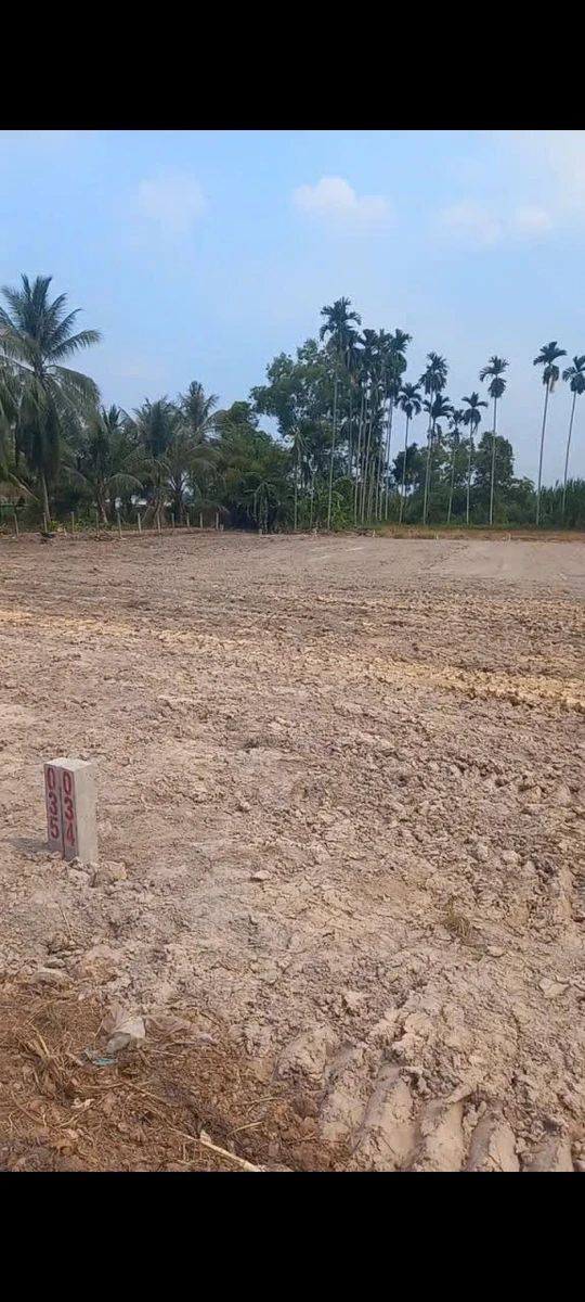 Bán đất 250m² Tam Hạp Châu, Tây Ninh, giá 420 triệu - Ảnh thu nhỏ 2