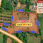 Bán đất Đồng Nai 2700m2, 1 tỷ 5, Đồng Xoài - Ảnh thu nhỏ 1