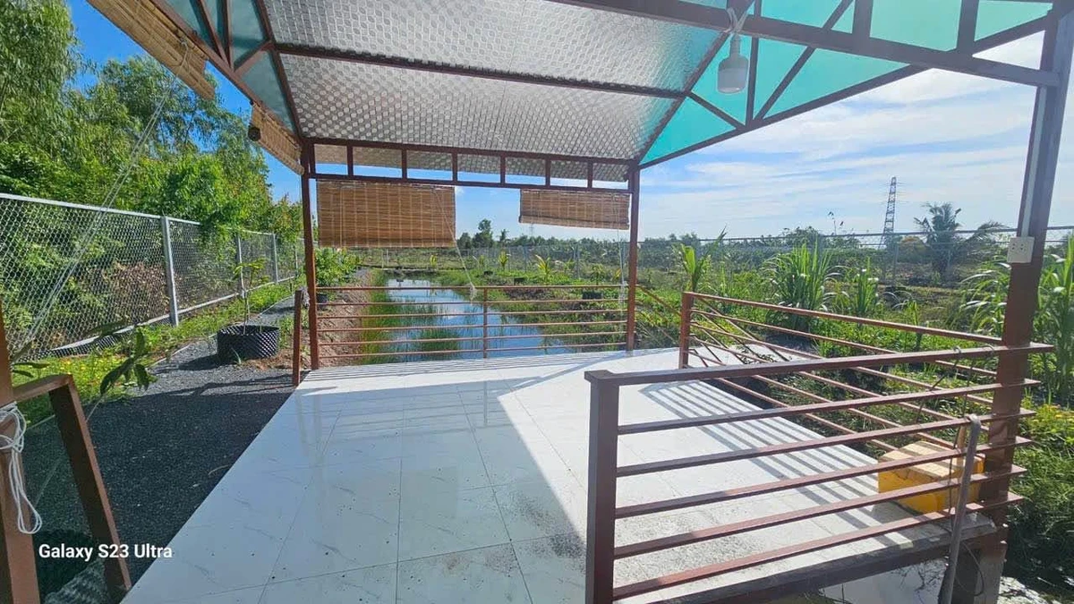Bán nhà vườn 1.000m² giá 1 tỷ 200 tại Thủ Thừa, Long An - Ảnh thu nhỏ 5