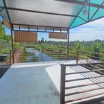 Bán nhà vườn 1.000m² giá 1 tỷ 200 tại Thủ Thừa, Long An - Ảnh thu nhỏ 5