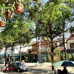Giảm hơn 1 tỷ bán nhà mặt tiền Lý Tự Trọng, vị trí có 1 không 2, đang có sẵn HĐ thuê - Ảnh thu nhỏ 10