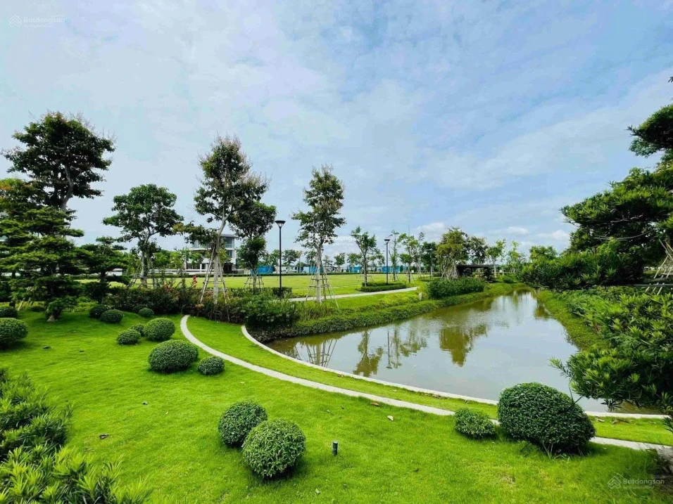 Hàng hiếm rổ hàng chuyển nhượng chủ đầu tư Swan Bay - nhà phố- biệt thự dinh thự sông tháng 10/2026 - Ảnh thu nhỏ 4