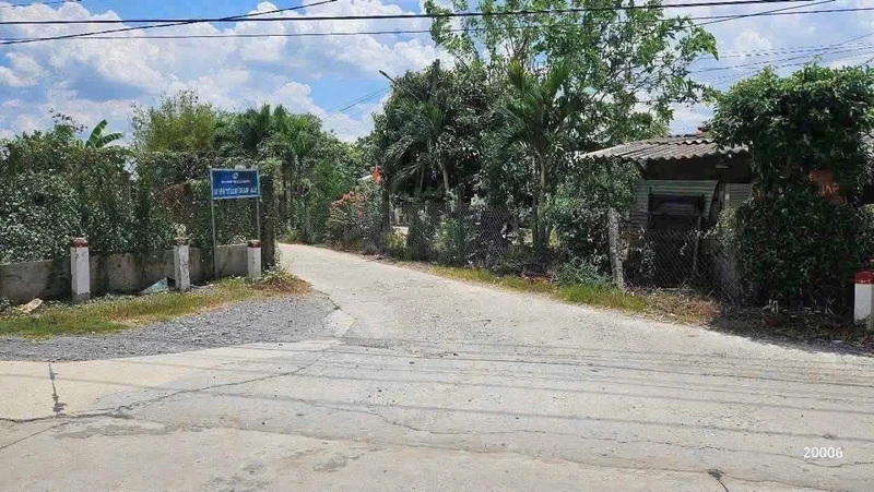 Bán 1100m² đất lúa + 150m² thổ cư Châu Thành Long An