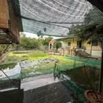 Bán đất vườn nghỉ dưỡng 2.386m² giá 6,5 tỷ Đồng Nai - Ảnh thu nhỏ 4
