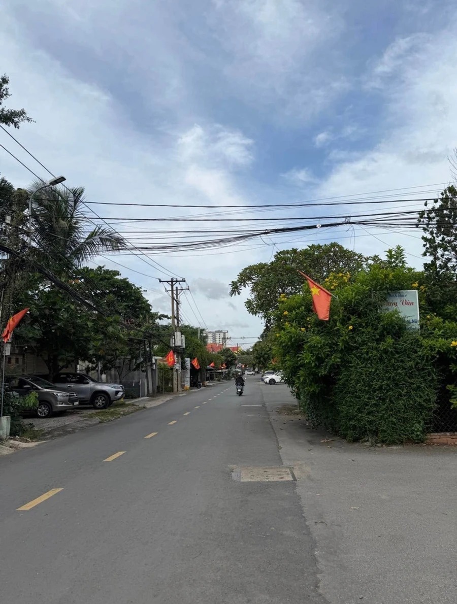 Bán đất 71.5m2 đường Hoàng Hữu Nam gần Bến Xe Miền Đông - Ảnh thu nhỏ 2