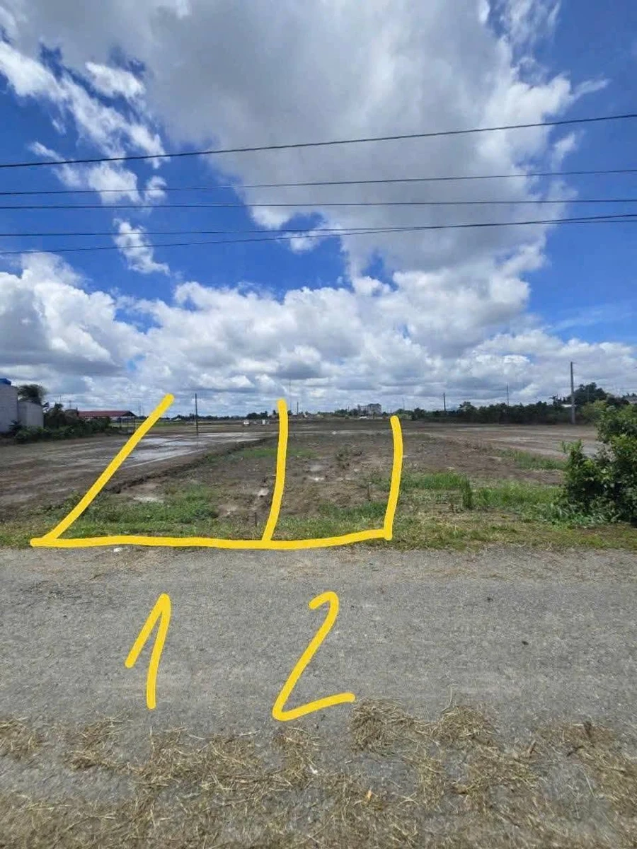 Bán đất mặt tiền 150m² Bến Lức, gần Hồ Chí Minh 950 triệu - Ảnh thu nhỏ 3