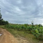Bán đất 25.000m² Phú Lý, Đồng Nai (trồng chuối, nhà vườn) - Ảnh thu nhỏ 5