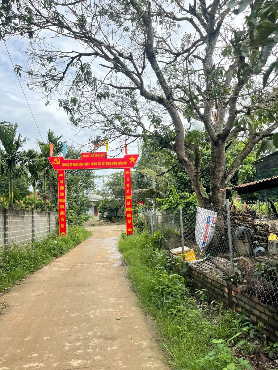 Bán đất 38x100m (3800m²) gần Bệnh viện Xuyên Á, Lâm Đồng, giá 2,3 tỷ - Ảnh thu nhỏ 2
