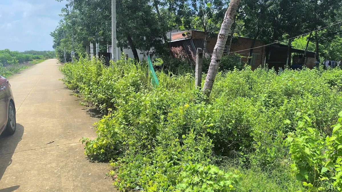 Bán lô đất 513,7m² tại Tân Thành, Tây Ninh, 1 tỷ 250 triệu - Ảnh thu nhỏ 2