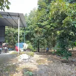 Bán đất vườn sầu riêng 4.000m² Tân Phú, Đồng Nai 3,2 tỷ - Ảnh thu nhỏ 4
