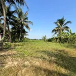 Bán 1200m² đất tại Xã Tân Xuân, Ba Tri, Bến Tre - Ảnh thu nhỏ 3