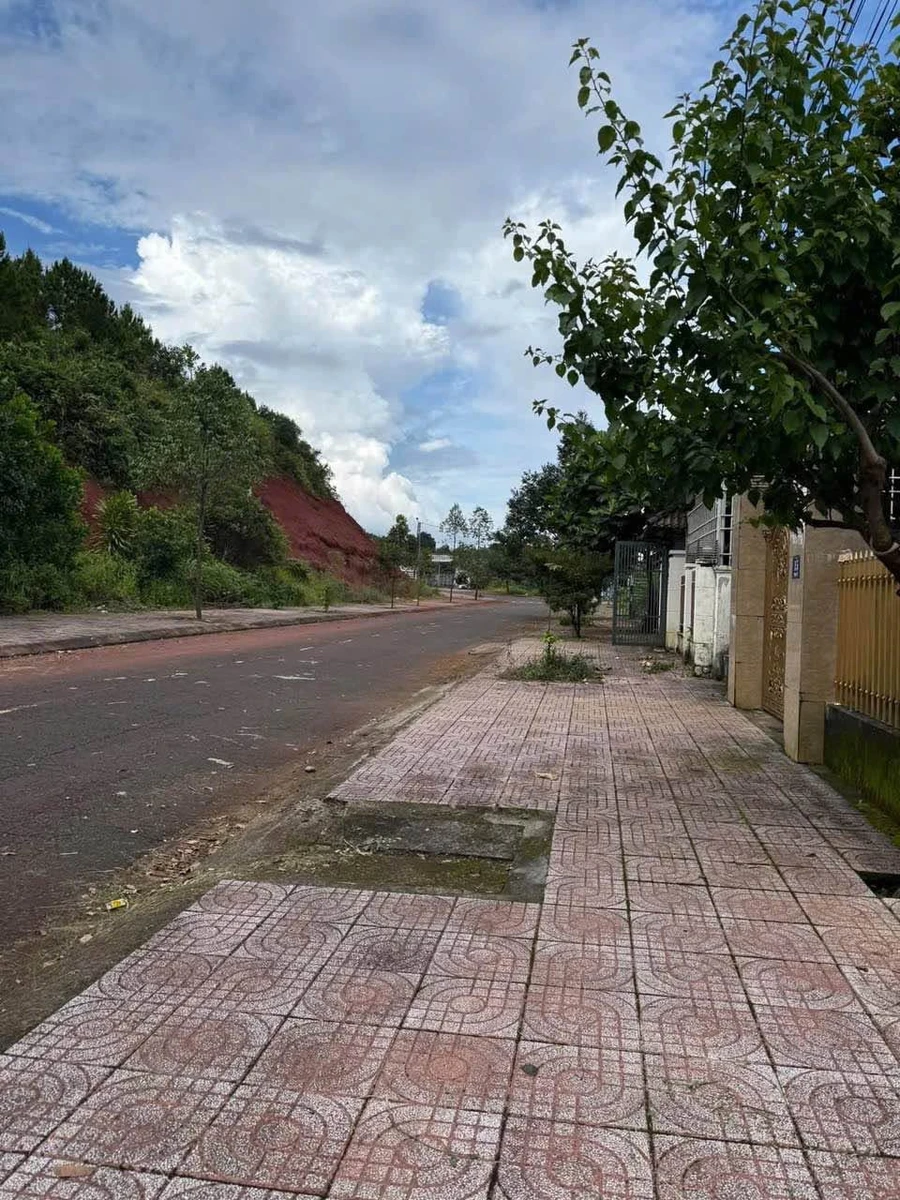 Bán đất Gia Nghĩa 250m² giá 1,3 tỷ - Ảnh thu nhỏ 3