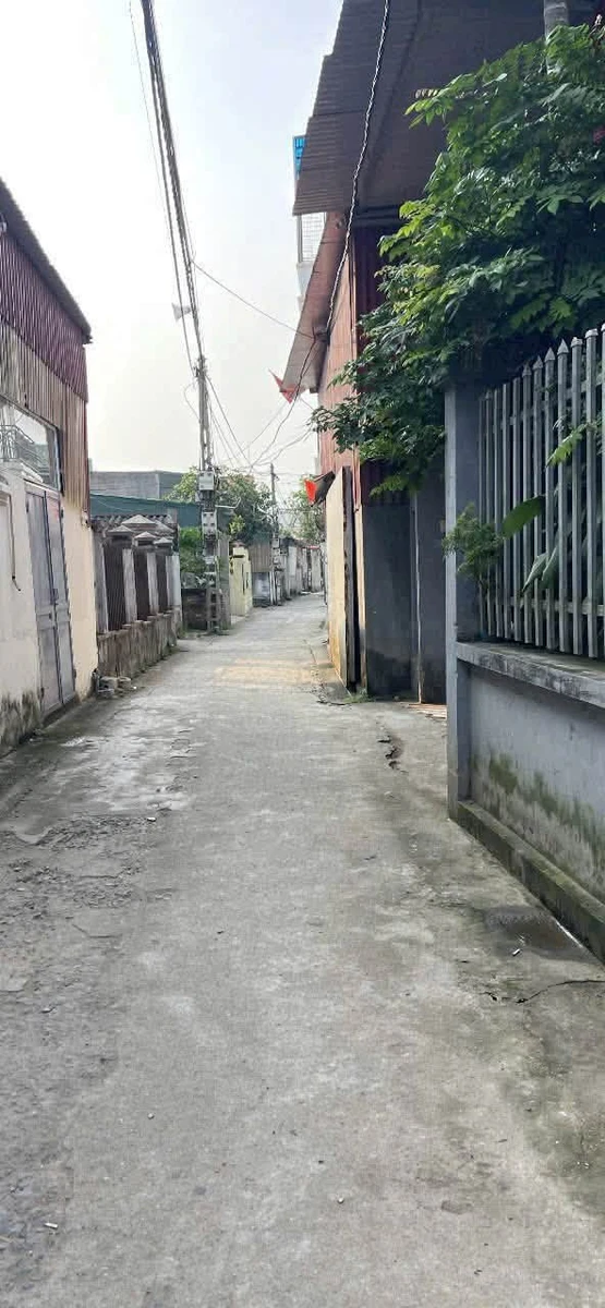 Bán 2 lô đất Thôn Ngọ Hải Phòng 57-58m2 mặt tiền 4m - Ảnh thu nhỏ 5