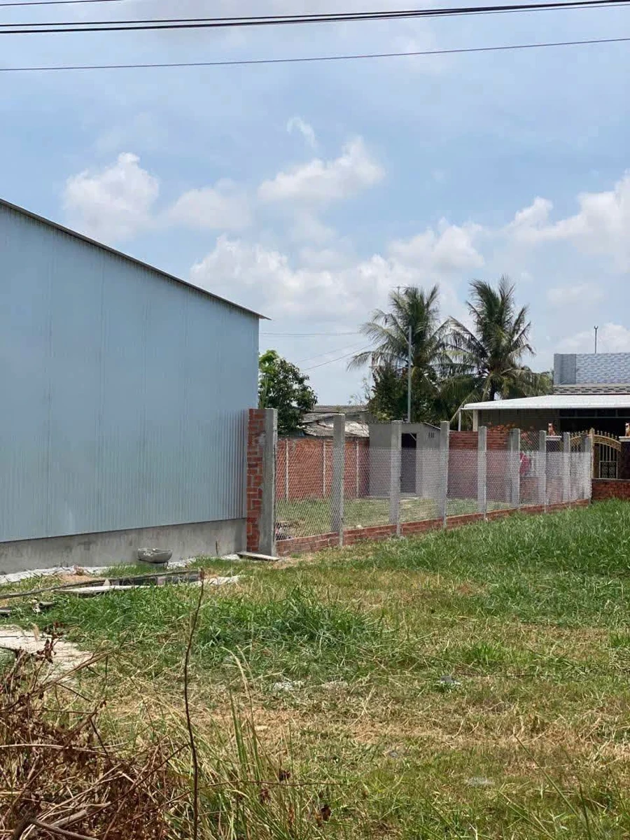 Bán đất nền 273m² mặt tiền lộ Giồng Giá, Ba Tri, Vĩnh Long - Ảnh thu nhỏ 3