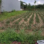 Bán đất 183m2 (164m2 thổ cư) giá 430 triệu phường Trương Quang Trọng, Quảng Ngãi - Ảnh thu nhỏ 2